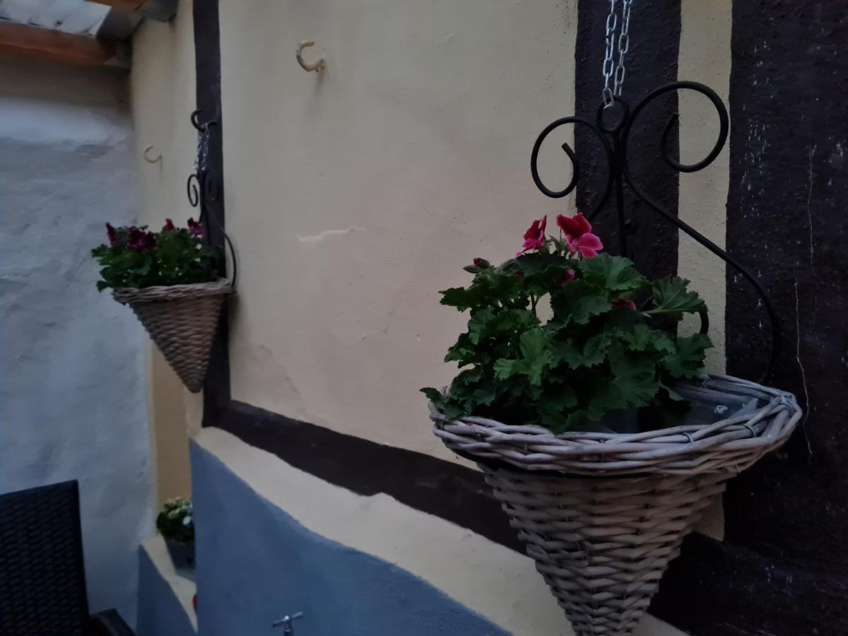 Ferienhaus Schatzliebe クヴェードリンブルク エクステリア 写真